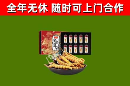 峄城烟酒回收冬虫夏草礼盒.jpg