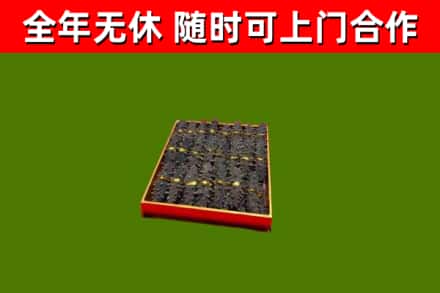 峄城回收海参
